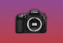 Best DSLR Cameras for Beginners Under $500 | Top cheap Entry-Level DSLRs